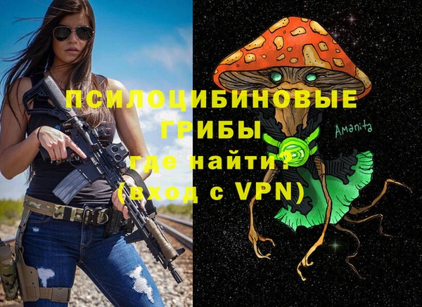 мдпв Нея