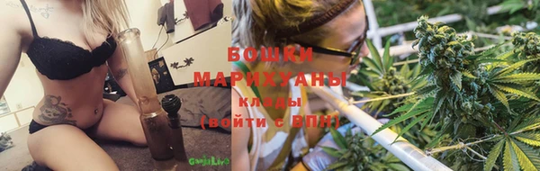 мдпв Нея