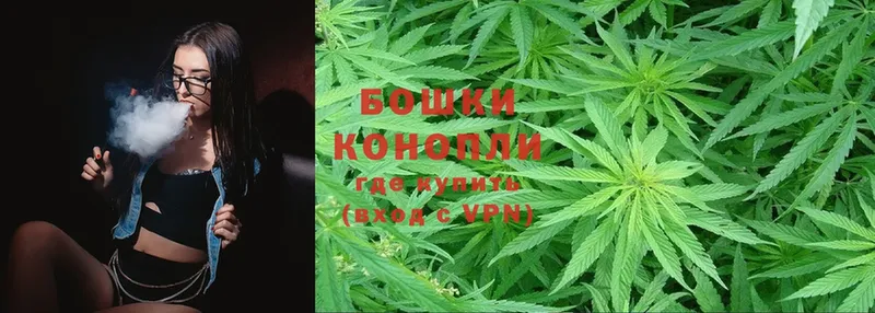 хочу наркоту  Лодейное Поле  Марихуана Ganja 